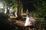 Sous bois 24 * 5184 x 3456 * (7.99MB)